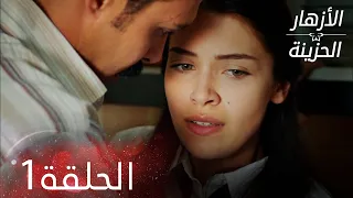 الأزهار الحزينة الحلقة 1 كاملة Kırgın Çiçekler  الأزهار الحزينة الحلقة 1 كاملة Kırgın Çiçekler