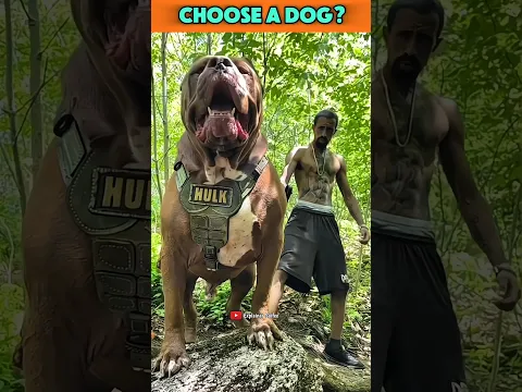 Choose a dog ! #facts #shorts