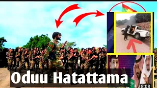 Oduu Hatattama WBOn Harargee Lixaa Asaboota Dhunfattee Jirachuun Gabafame Sheer Waalif Godhaa 