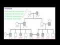Pedigree Analysis