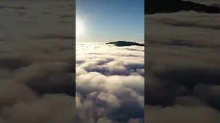 تعبان يازماني  اكسبلور          ابراهيم ابوالبنات  ترند  دويتو دندنها