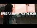 Yasper - "Birds Fly Higher Than The Moon"