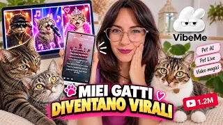 I MIEI GATTI DIVENTANO VIRALI GRAZIE A VIBEME AI APP!