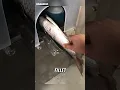 Download Lagu Tak butuh waktu lama, ikan ter fillet sempurna !