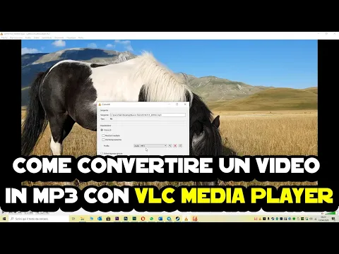 Download MP3 Come convertire un video in MP3 con VLC media player