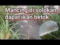 Download Lagu Mancing di selokan dapat ikan betok