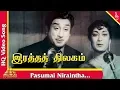 Lagu Pasumai Niraintha Song | Ratha Thilagam Tamil Movie Songs | Sivaji Ganesan | Savitri |பசுமை நிறைந்த