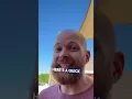 How to Naturally Repel Wasps