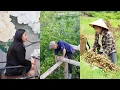 Download Lagu Ex-Wife Returns – Uncle De Rushes to Finish Huyen’s House Before the Divorce