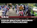 Download Lagu Kebun Binatang Ragunan Masih Ramai Didatangi Pengunjung | Kabar Siang tvOne