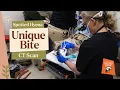 Jabali the Spotted Hyena Gets a CT Scan at Monarto Safari Park