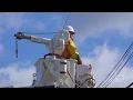 PECO - Advancing the Customer Experience