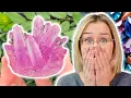 Download Lagu I Tried Growing Crystals at Home… And It Actually Worked!