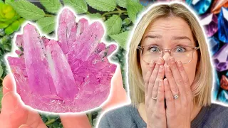 I Tried Growing Crystals at Home And It Actually Worked