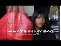 What s In My Bag 2024 Red MCM Liz Tote Review