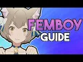 FemBoy Beginner Guide