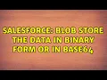 Salesforce Blob store the data in binary form or in base64