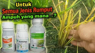 Download OBAT RUMPUT PALING AMPUH Jenis Herbisida Purna Tumbuh Untuk Mengatasi Gulma Padi MP3