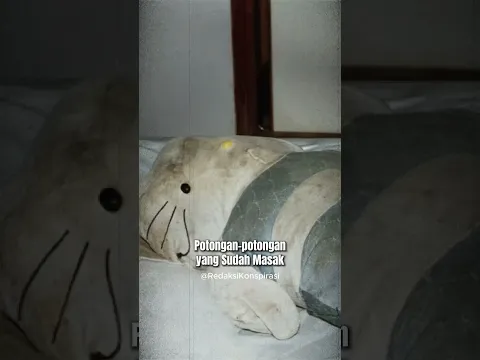 Kasus Boneka Hello Kitty