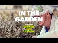 Sunshine Cannabis founder on Trulieve s original partnership journey