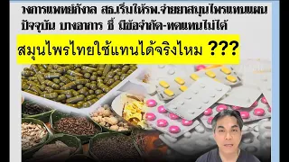 เพชรสังฆาตใช้แทนยาแดฟอนได้จริงหรือไม่ ทำไมถึงสามารถใช้ทดแทนกันได้