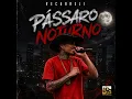 Passaro Noturno