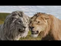 Download Lagu Mufasa: The Lion King Full Movie Recap 2024