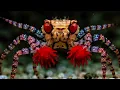 What Happens When a Pom-Pom Crab Loses One of Its Anemones?