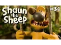 Download Lagu If You Can't Stand The Heat | Shaun the Sheep Season 1 | Full Episode