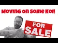 Download Lagu FOR SALE - Moving on some stunning koi