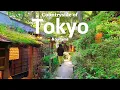 Download Lagu Rural Tokyo, 1 Hour from Shinjuku | Ghibli-Like Summer | Akiruno \u0026 Tokorozawa | JAPAN TRAVEL VLOG