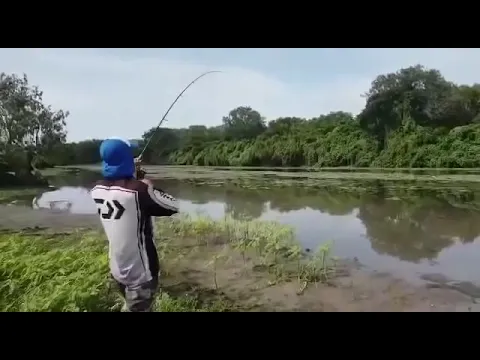 “RUN DANIEL!” Crocodile Attacks Fisherman and Steals His Fish