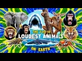 Top 10 Loudest Animals on Earth - Part 1