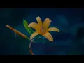 Download Lagu Music by Sergei Chekalin 🌹Music for the Soul!🌹