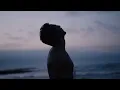 Saale Dil (Visualizer × New Musical Track) 