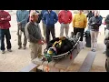 Master Patient Packaging Litter Work No Short-Cuts