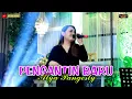Lagu PENGANTIN BARU - ALYA PANGESTY ft ACS PRO AUDIO(Official Music Video)