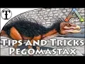 Fast Pegomastax Taming Guide Ark Survival Evolved Tips and Tricks