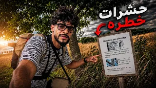 ⚠️ لقيت تحذير من حشرات خطرة بالغابة… شنو السالفة؟!
