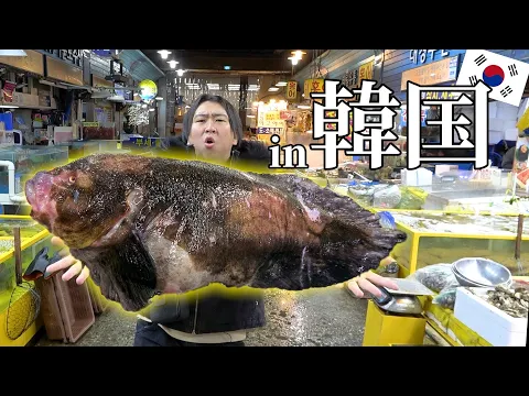 [Overseas] Korean markets full of rare fish! Filleting with ‘Korean Kimagure Cook.’
