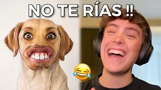 INTENTA NO REÍRTE #18