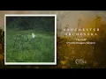 Manchester Orchestra - The Gold (Phoebe Bridgers Version)