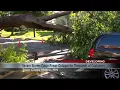 Severe storms cause power outages topple trees in Minneapolis