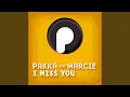 Download Lagu I Miss You (DJ Space Raven vs. Mat Silver Remix Edit)