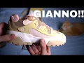 GOLF LE FLEUR GIANNO BROWN