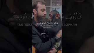 ه ذ ا خ ل ق ٱلل ه بصوت هادئ قارئ محمد دیبیروف ماشاء الله 