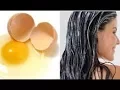 MENGEJUTKAN!! 17 Manfaat Telur untuk Rambut  Putih Telur Dan Kuning Telur