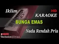Download Lagu BUNGA EMAS - IKLIM SALEEM ( NADA RENDAH PRIA ) || KARAOKE