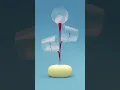 Mucinex 12HR DM