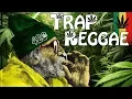 Download Lagu Best Trap Reggae Mix 2018 💊 Best Trap, Bass \u0026 EDM Reggae Music 💊 Happy 420